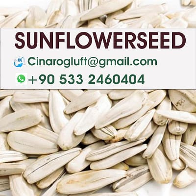 turkish sunflower seeds