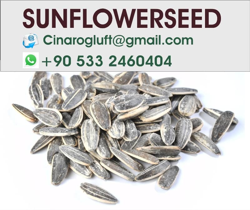 salted roasted turkish sunflower seeds